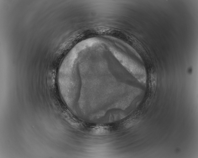 X0000116030664200912111417