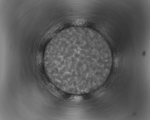 X0000116030665200912111417