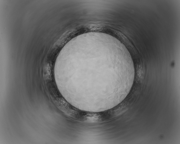 X0000116030667200912111417