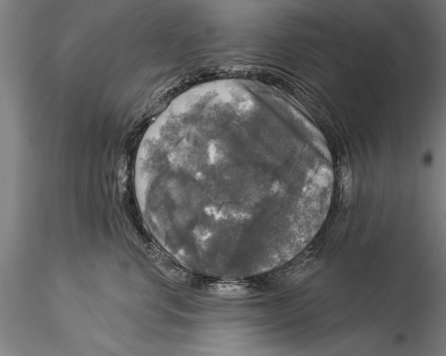 X0000116030668200912111417