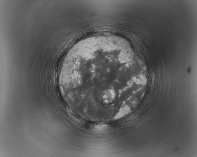 X0000116030669200912111417