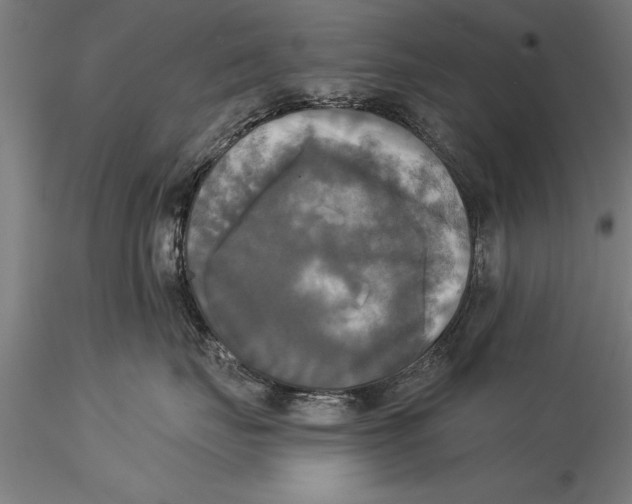 X0000116030671200912111417