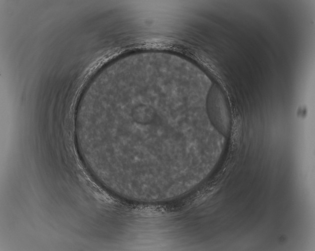 X0000116030673200912111416