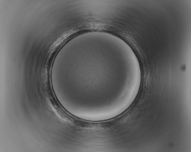 X0000116030674200912111416