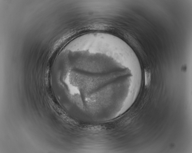 X0000116030675200912111416