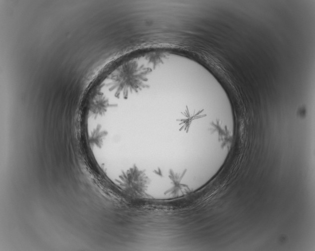 X0000116030676200912111416