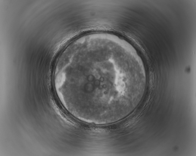 X0000116030677200912111416