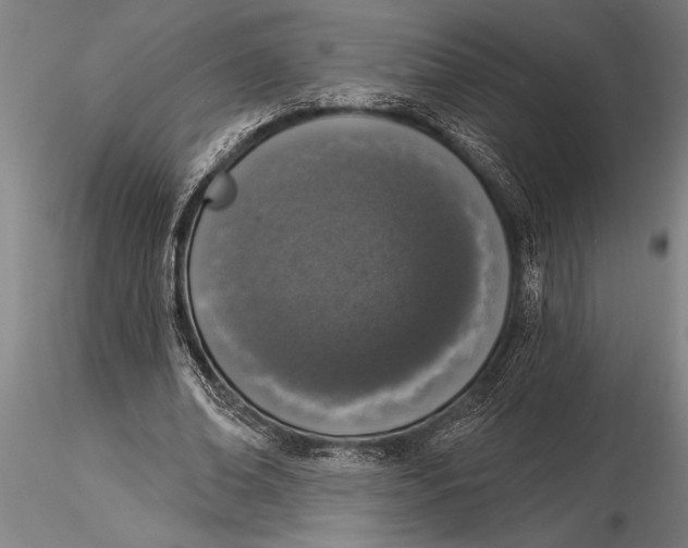 X0000116030678200912111416