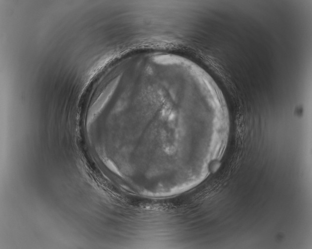 X0000116030679200912111416