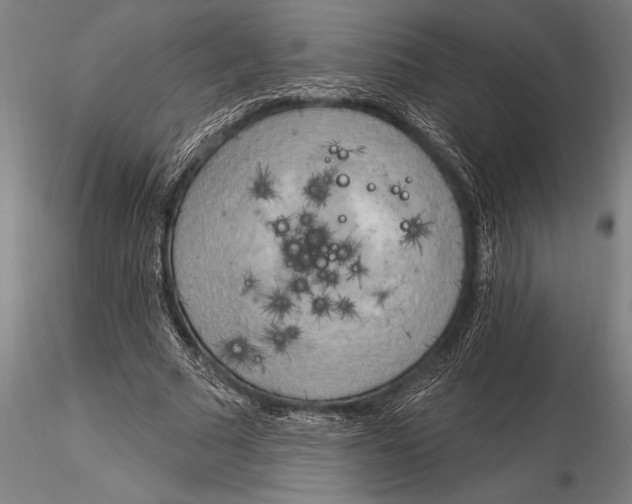 X0000116030681200912111416