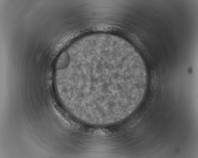 X0000116030683200912111416