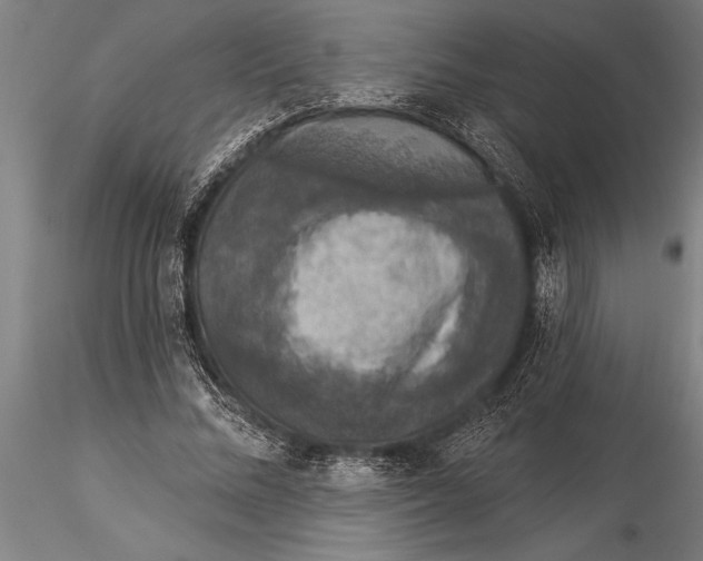 X0000116030684200912111416