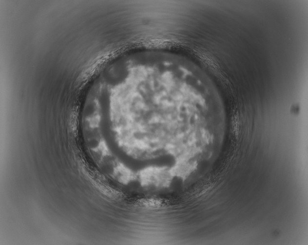 X0000116030687200912111416