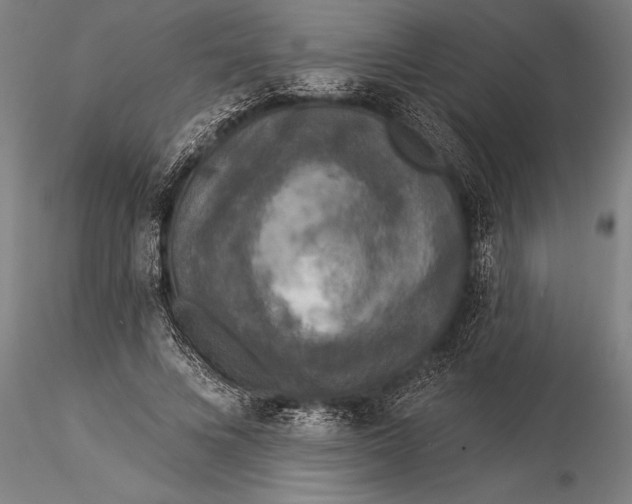 X0000116030688200912111416