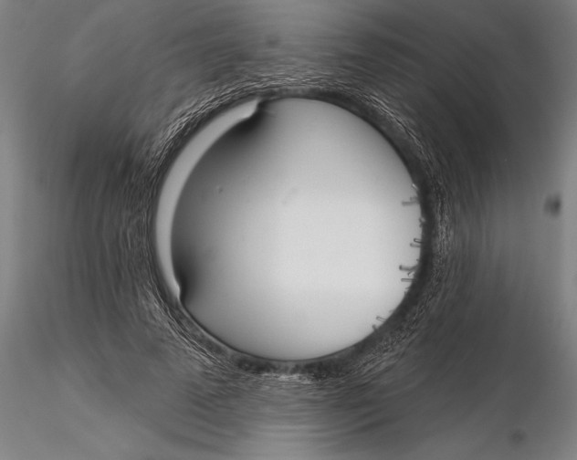 X0000116030689200912111416