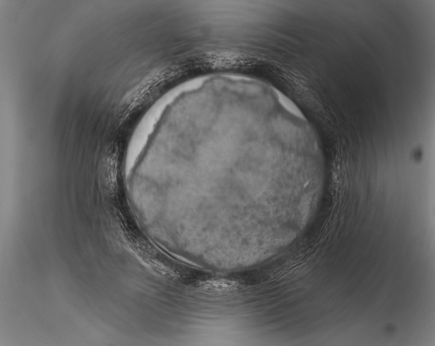 X0000116030691200912111416