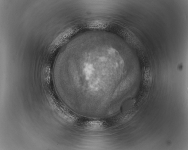 X0000116030692200912111416