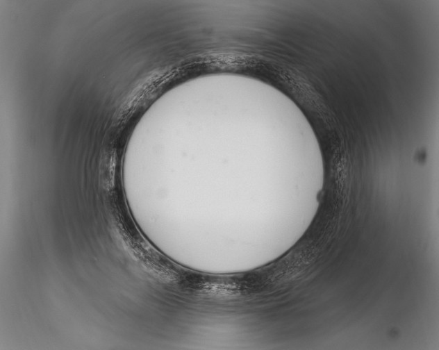 X0000116030694200912111416