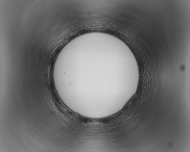 X0000116030695200912111416