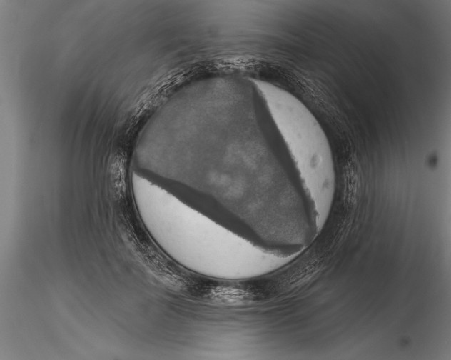 X0000116030699200912111416