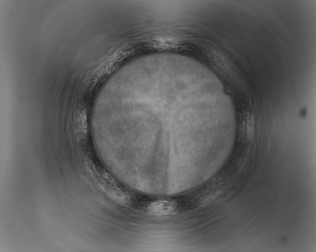 X0000116030700200912111416