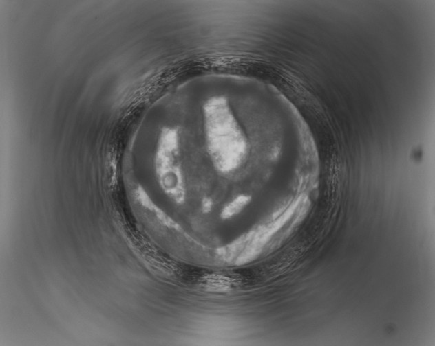 X0000116030703200912111416