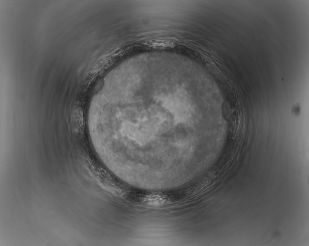 X0000116030704200912111416