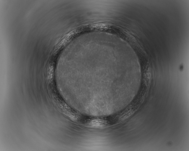 X0000116030708200912111416