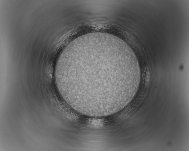 X0000116030710200912111416