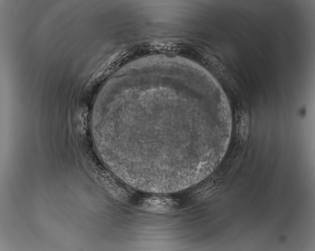 X0000116030712200912111416