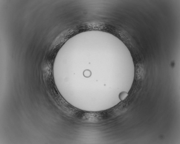 X0000116030713200912111416