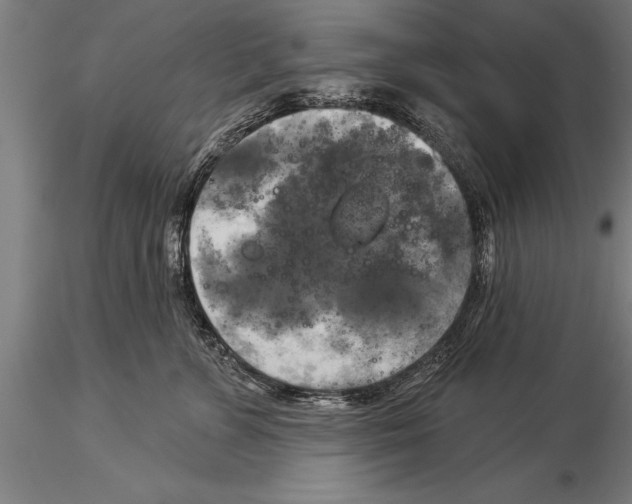 X0000116030715200912111416