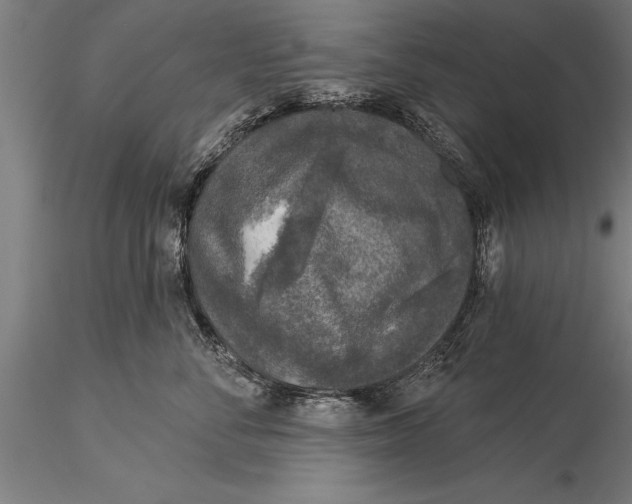 X0000116030716200912111416