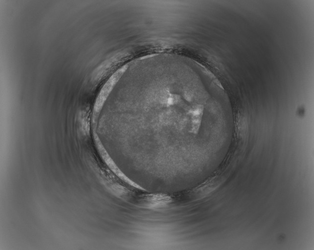 X0000116030719200912111416