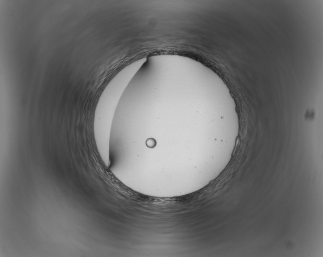 X0000116030720200912111416