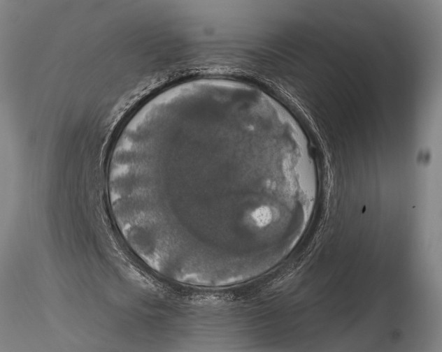 X0000116030721200912111415