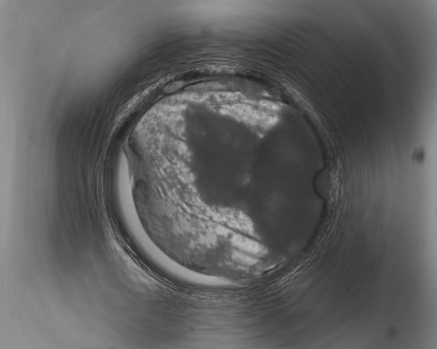 X0000116030722200912111415