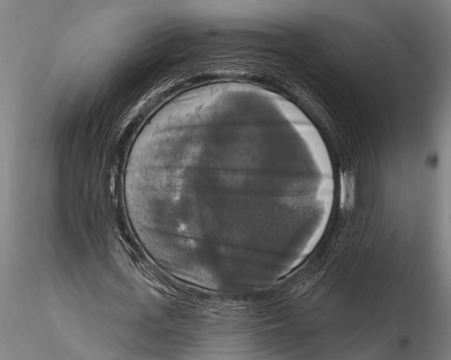 X0000116030723200912111415