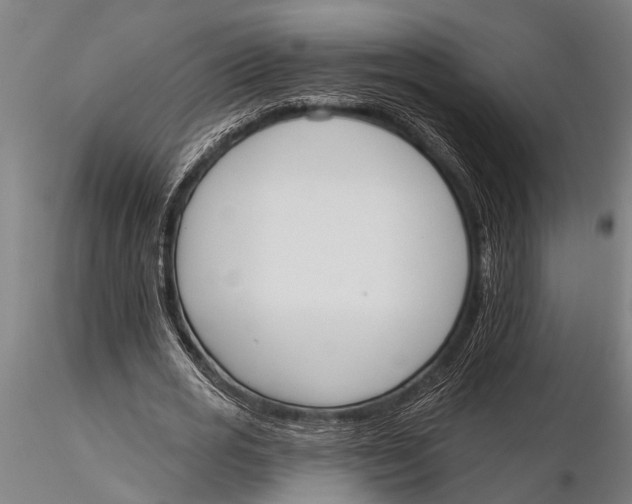 X0000116030725200912111415