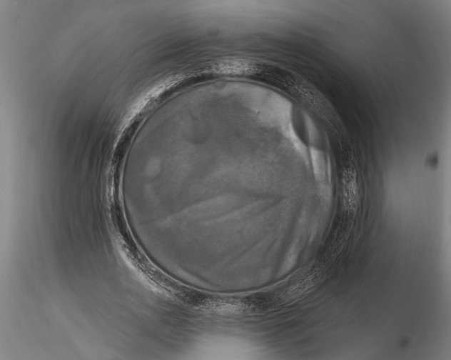 X0000116030726200912111415