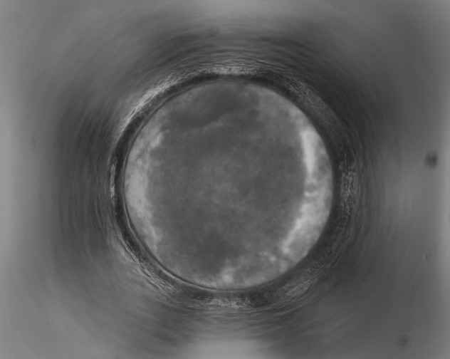 X0000116030727200912111415