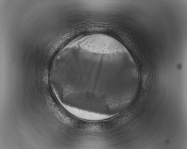 X0000116030729200912111415