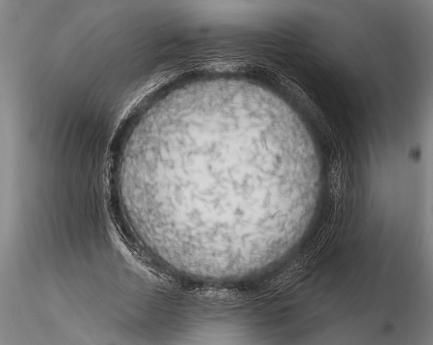 X0000116030730200912111415