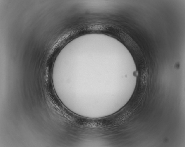 X0000116030731200912111415