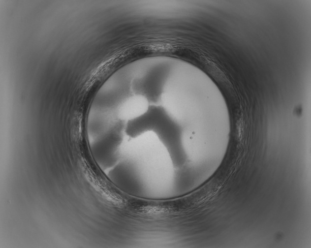 X0000116030733200912111415