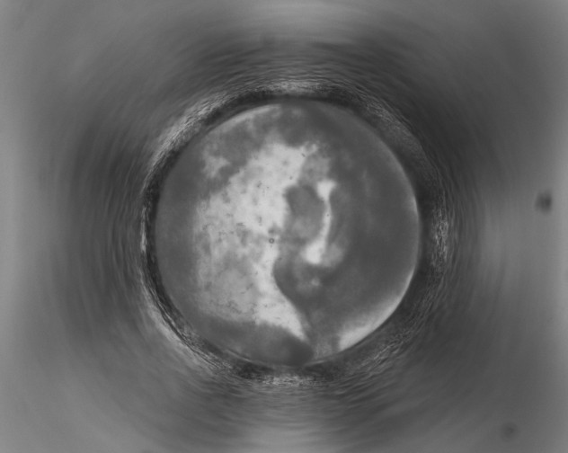 X0000116030734200912111415