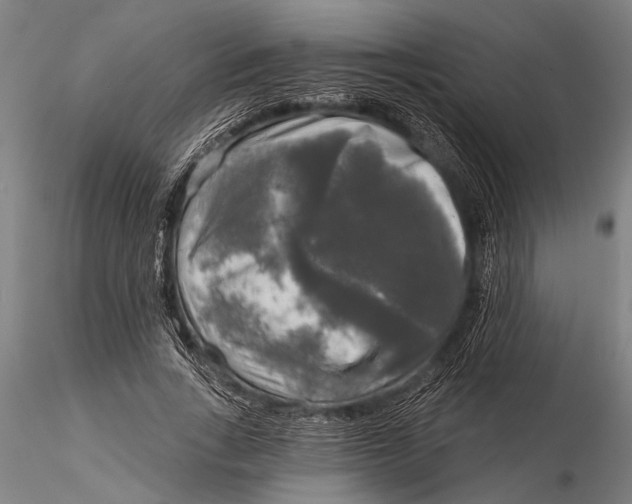 X0000116030735200912111415