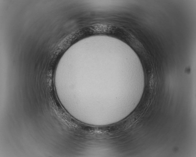 X0000116030737200912111415