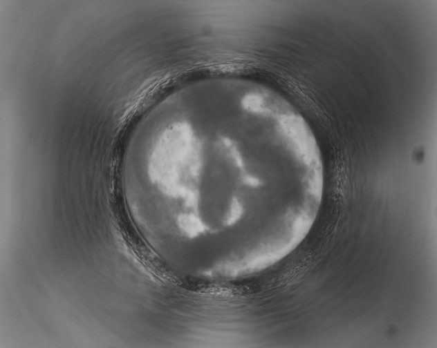 X0000116030738200912111415