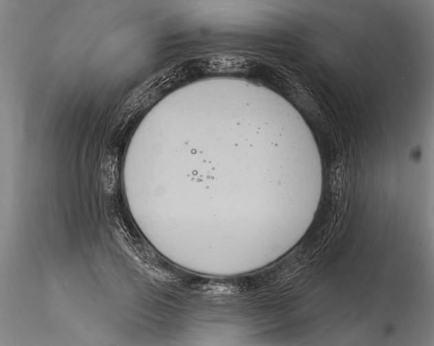 X0000116030741200912111415